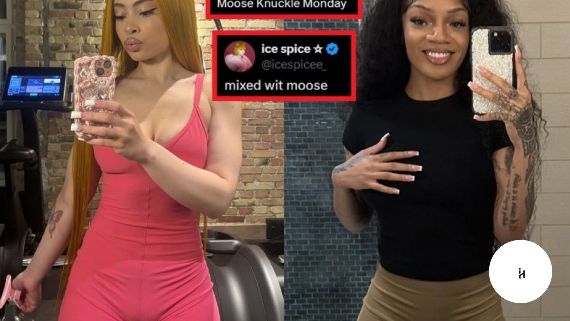 Moose Knuckles Meaning