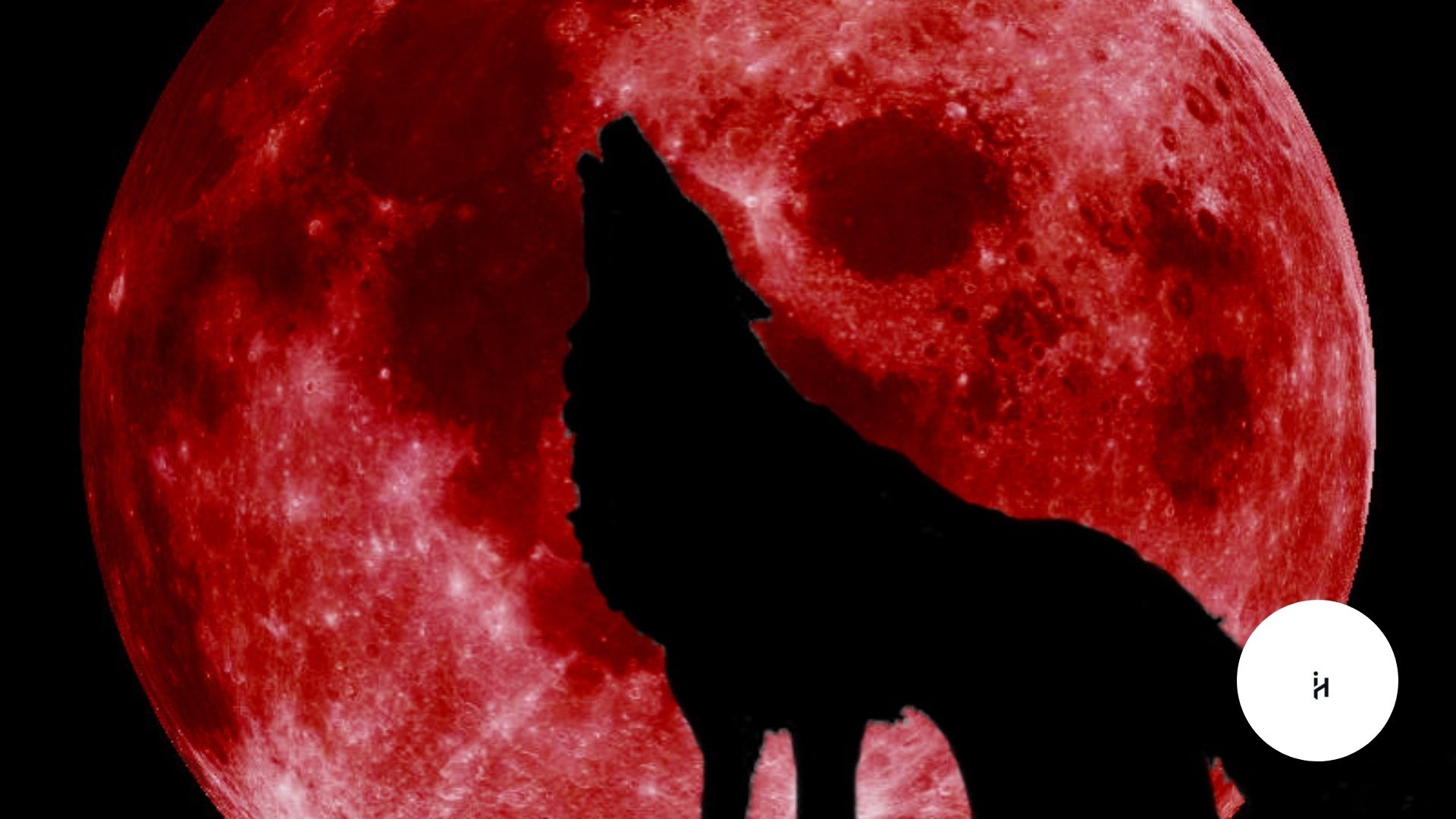 Blood Moon