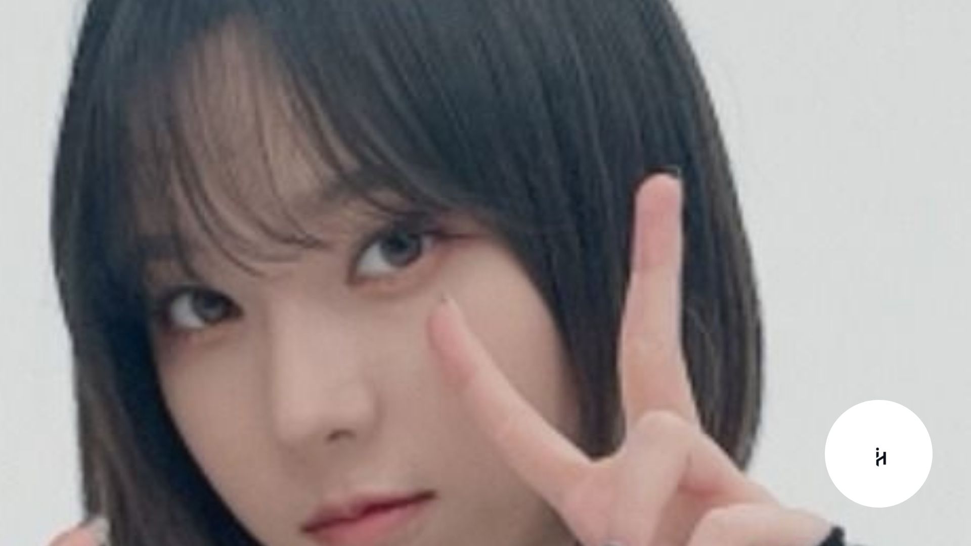 Bao VTuber Face Reveal