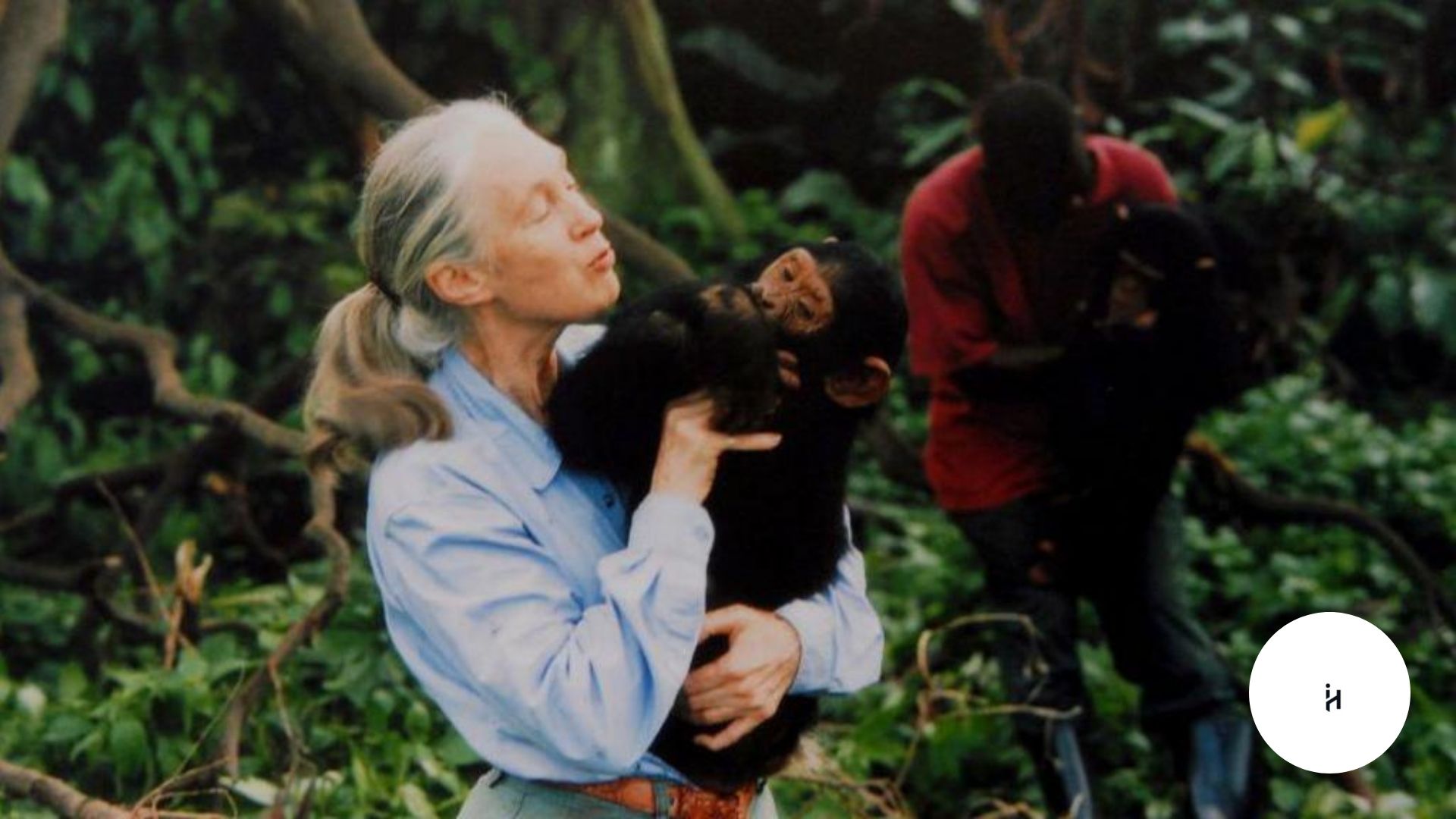 Is Jane Goodall Still Alive
