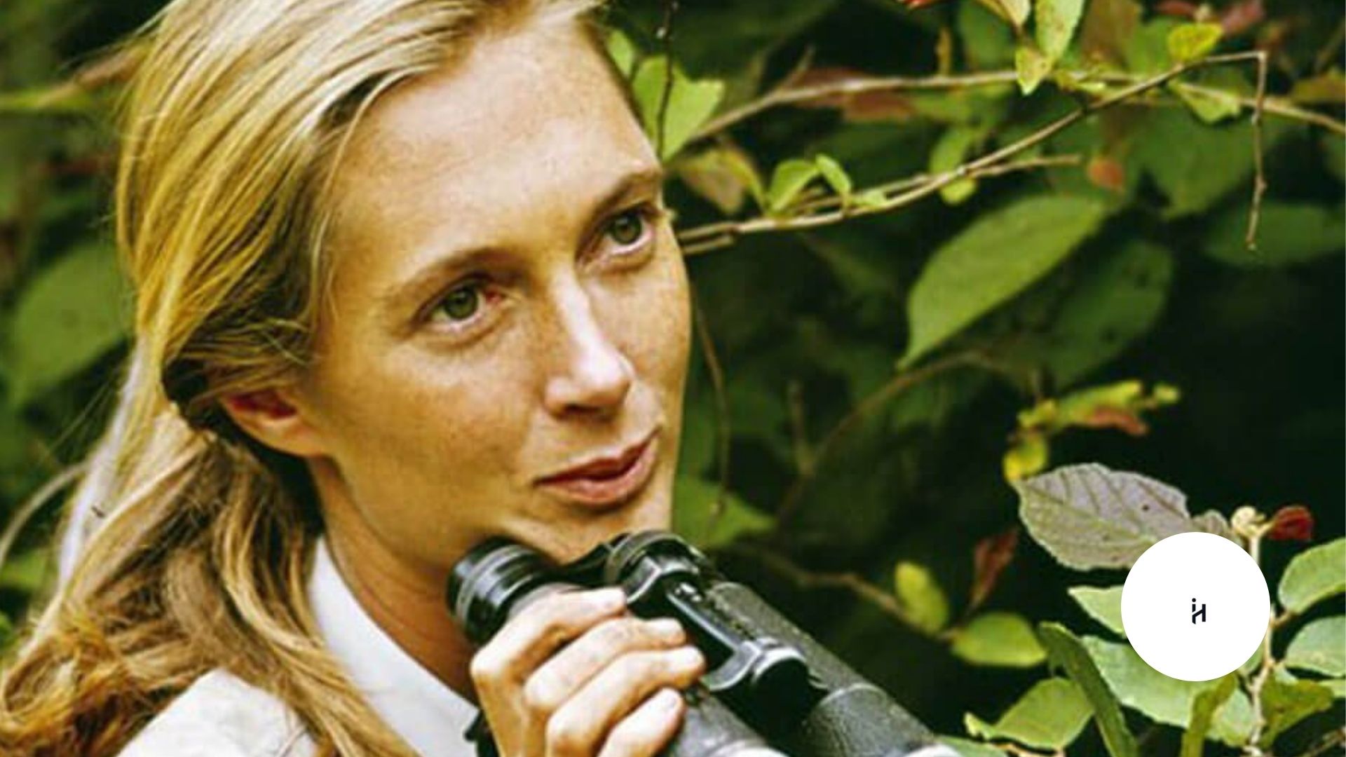 Is Jane Goodall Still Alive