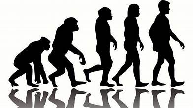Human History