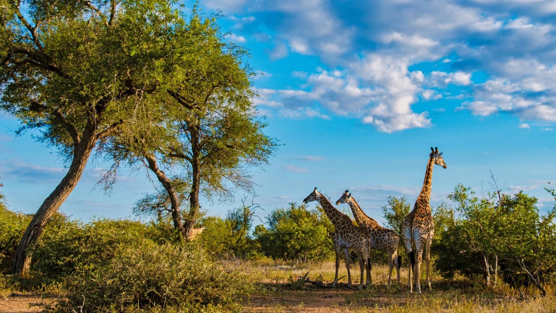 Kruger National Park