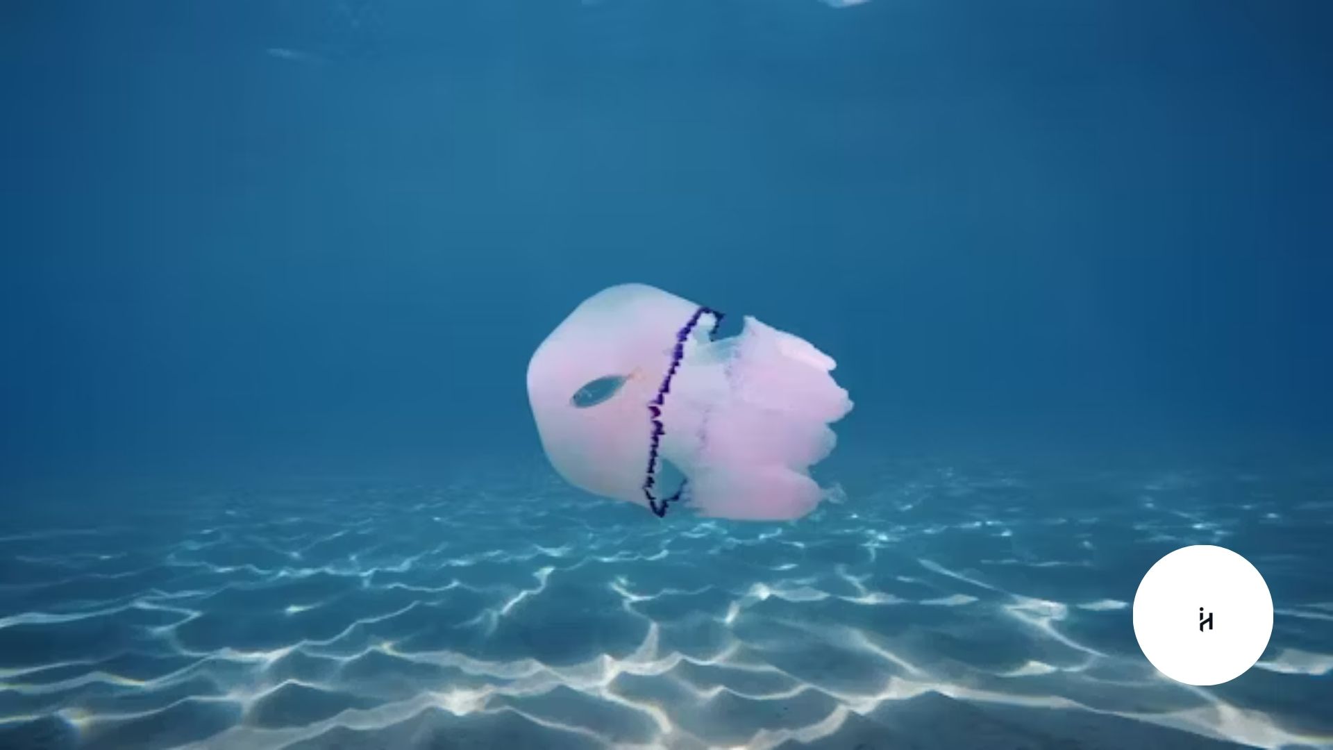 What is Sea Lung