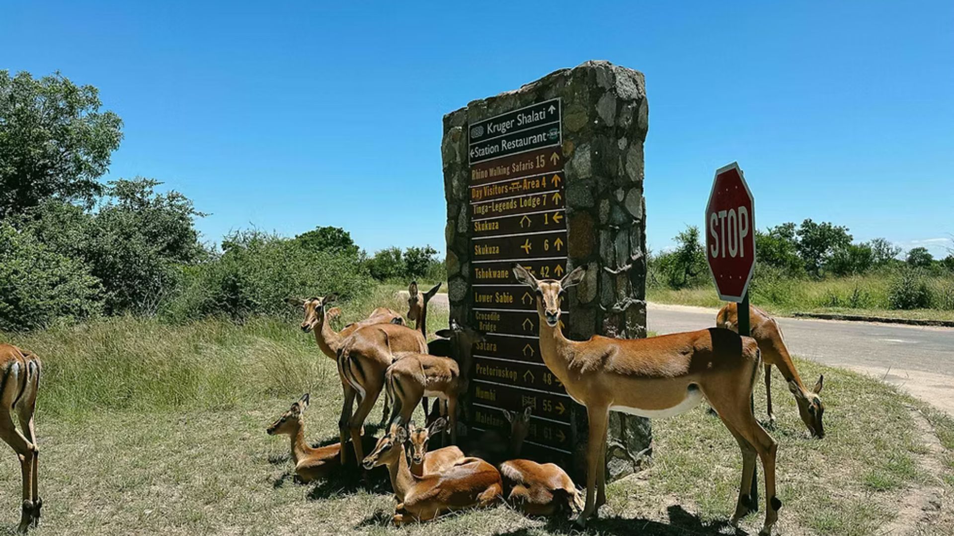 Kruger National Park