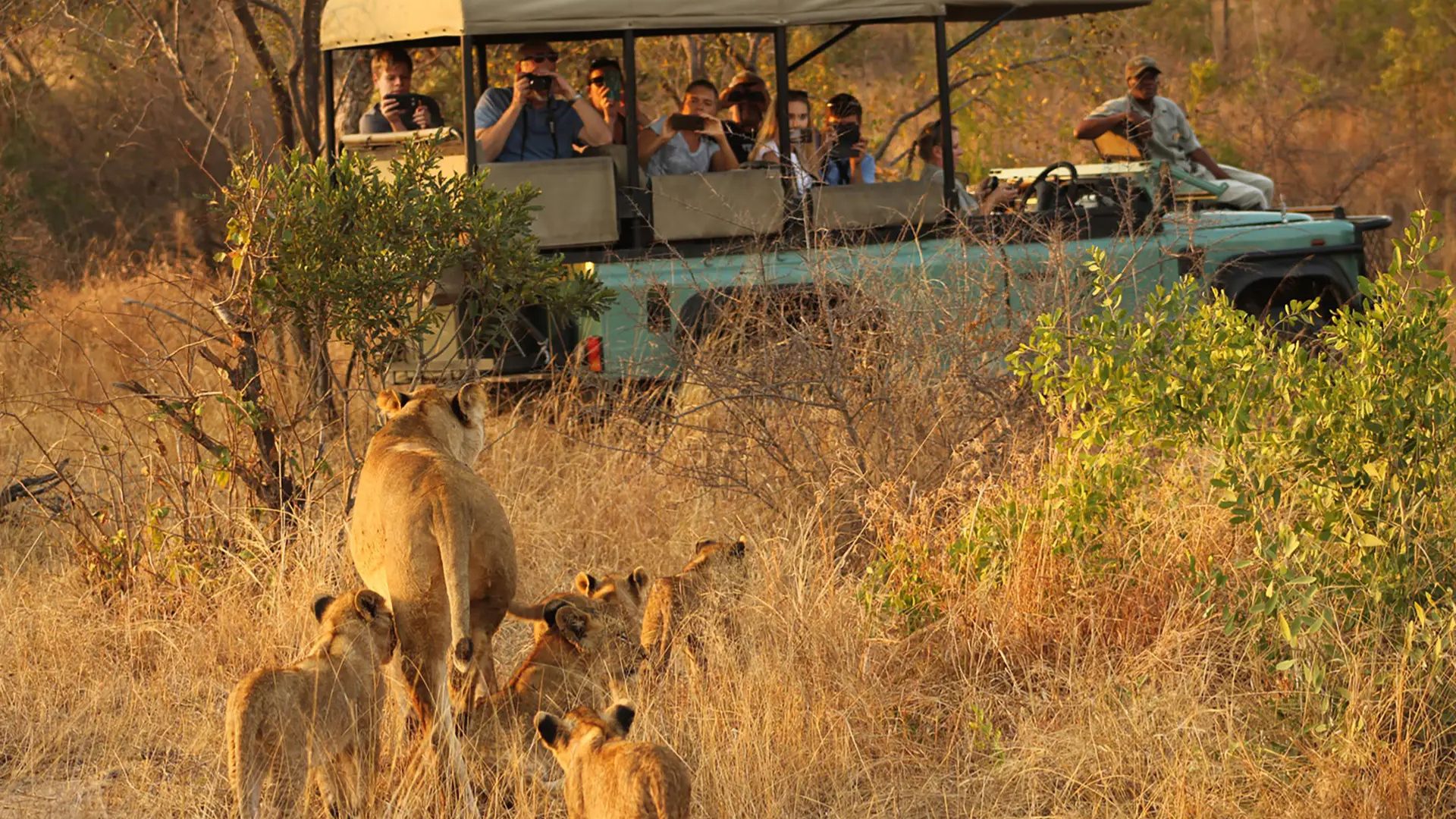 Kruger National Park