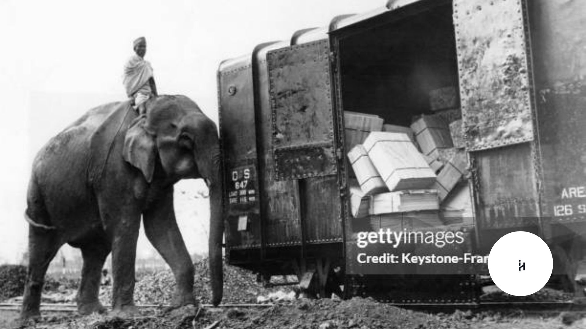 Elephant Edison