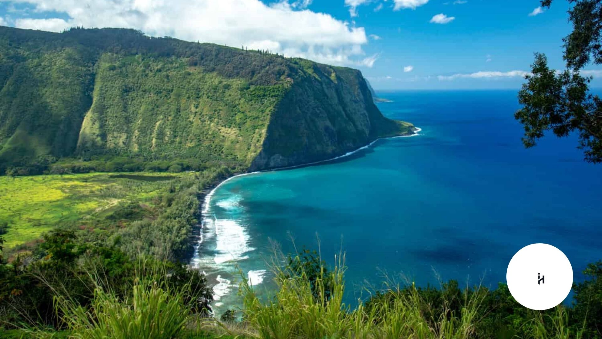Is Hawaii a State
