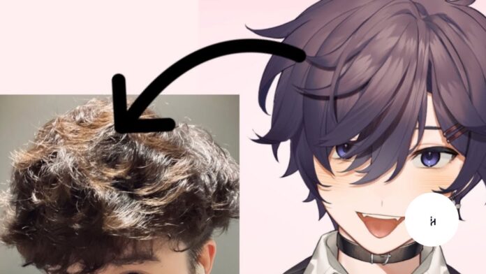 Shoto VTuber Face Reveal