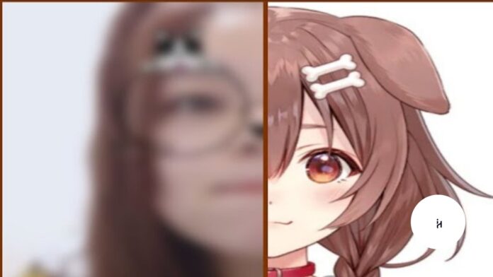 Inugami Korone Real Face