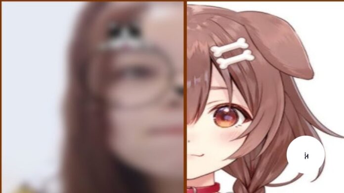 Inugami Korone Real Face