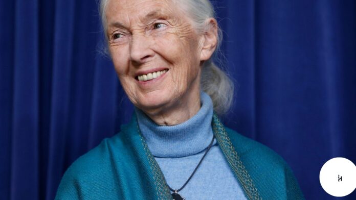 Is Jane Goodall Still Alive